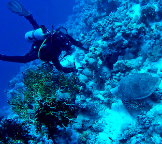 aqua diving galapagos islands experience