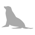leon-marino-galapagos-oniric